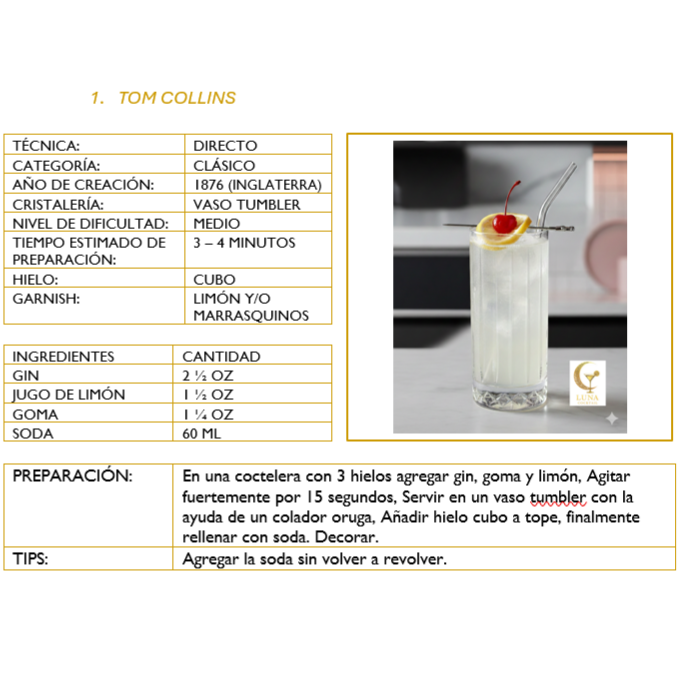 RECETARIO 35 COCKTAILS CLÁSICOS - PARA AMATEURS