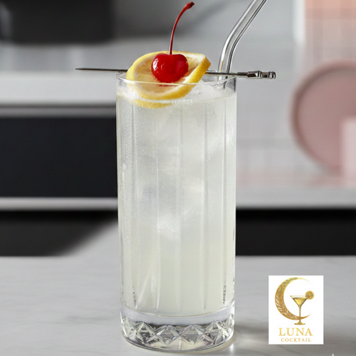 RECETARIO 35 COCKTAILS CLÁSICOS - PARA AMATEURS